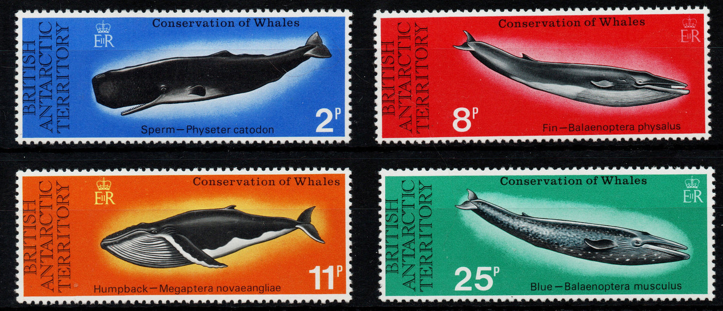 1977 British Antarctic Territory (BAT) Whales Set of 4 Unmounted Mint SG79-82 
