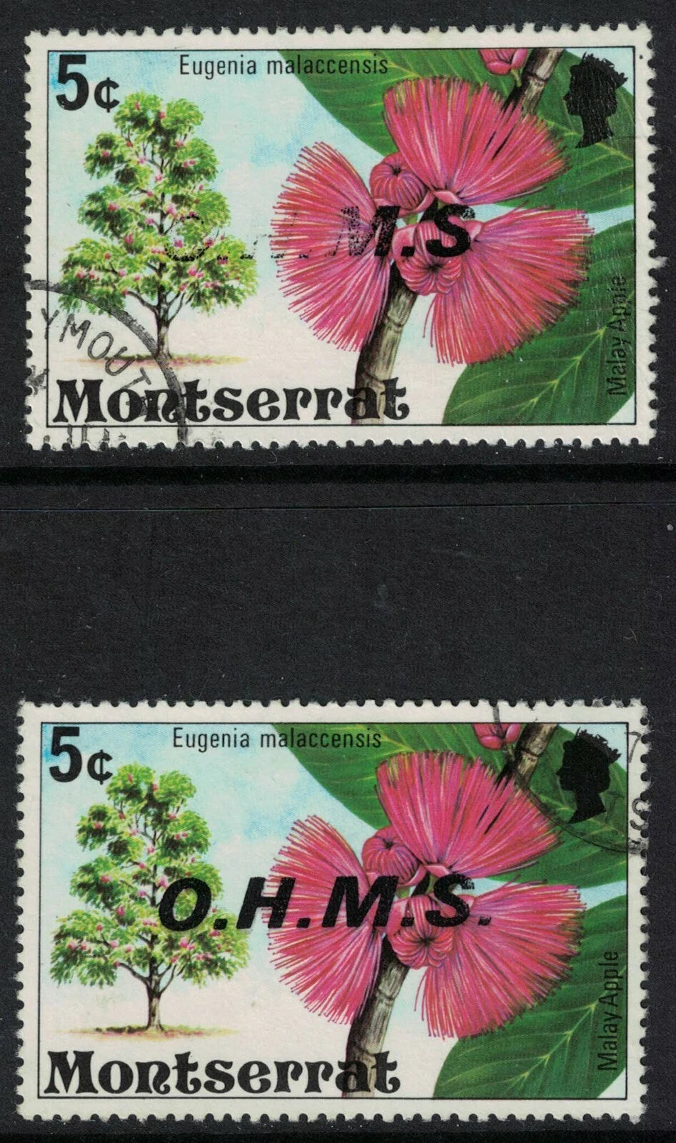 1976 Montserrat Malay Apple Tree OHMS Part Missing Error with Normal