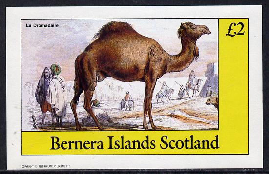 Bernera 1982 Animals (Camel) imperf deluxe sheet (£2 value) unmounted mint