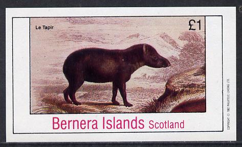 Bernera 1982 Animals (Le Tapir) imperf souvenir sheet (£1 value) unmounted mint