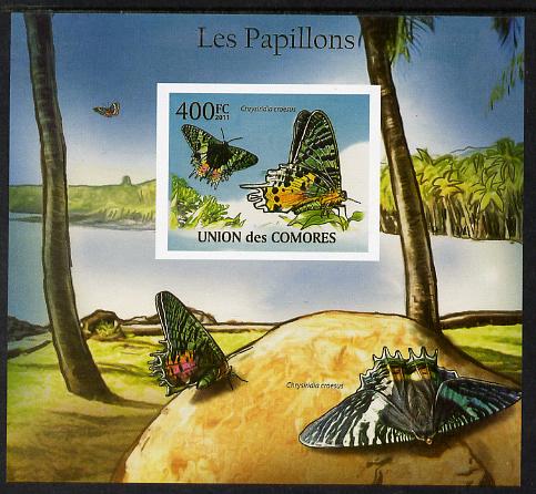 Comoro Islands 2011 Butterflies #7 imperf m/sheet unmounted mint. Note this item is privately produced and is offered purely on its thematic appeal, it has no postal validity