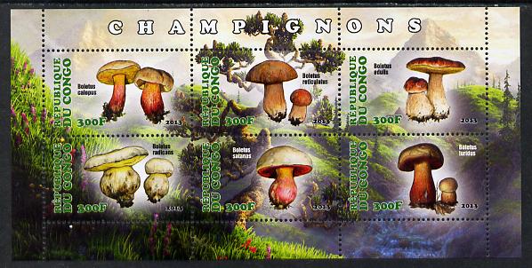 Congo 2013 Fungi #3 perf sheetlet containing six values unmounted mint