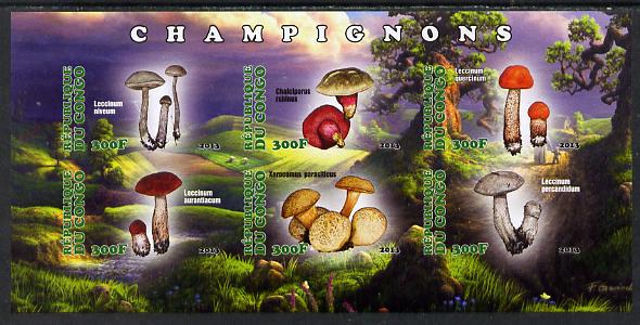 Congo 2013 Fungi #4 imperf sheetlet containing six values unmounted mint
