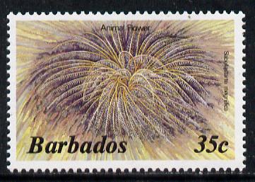 Barbados 1986 Animal Flower 35c (from Marine Life def set) without imprint date unmounted mint, SG 798A