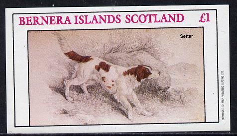 Bernera 1982 Dogs (Setter) imperf souvenir sheet (£1 value) unmounted mint