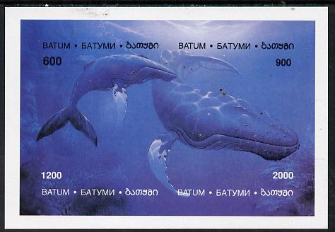 Batum 1994 Whales imperf composite sheetlet containing complete set of 4 values unmounted mint