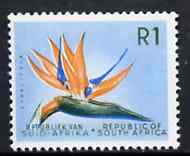 South Africa 1963 Strelitzia 1r (wmk RSA) unmounted mint, SG 236