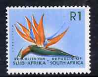 South Africa 1964 Strelitzia 1r (Redrawn & wmk'd) unmounted mint, SG 251*