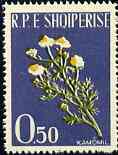 Albania 1961 Medicinal Plants 0L50 Camomile unmounted mint, Mi 654....