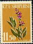 Albania 1961 Medicinal Plants 11L50 Sage unmounted mint, Mi 656....