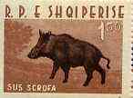 Albania 1962 Animals 1L50 Wild Boar unmounted mint, Mi 701