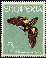 Albania 1963 Acherontia atropos 5L from Butterflies & Moths set unmounted mint, Mi 776