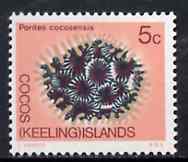Cocos (Keeling) Islands 1969 Coral 5c value from 1969 Decimal Currency def set unmounted mint, SG 12