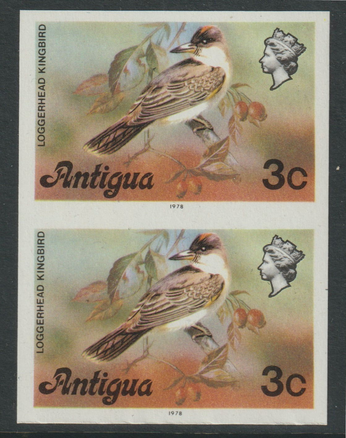 Antigua 1976 Loggerhead Kingbird 3c (with imprint) unmounted mint imperforate pair (as SG 472B)
