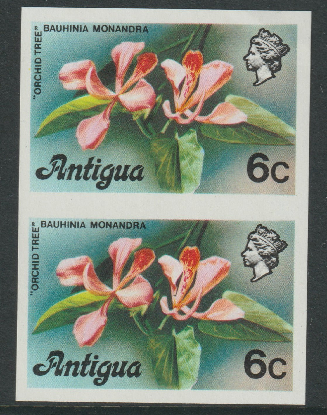 Antigua 1976 Orchid Tree 6c (without imprint) unmounted mint imperforate pair (as SG 475A)