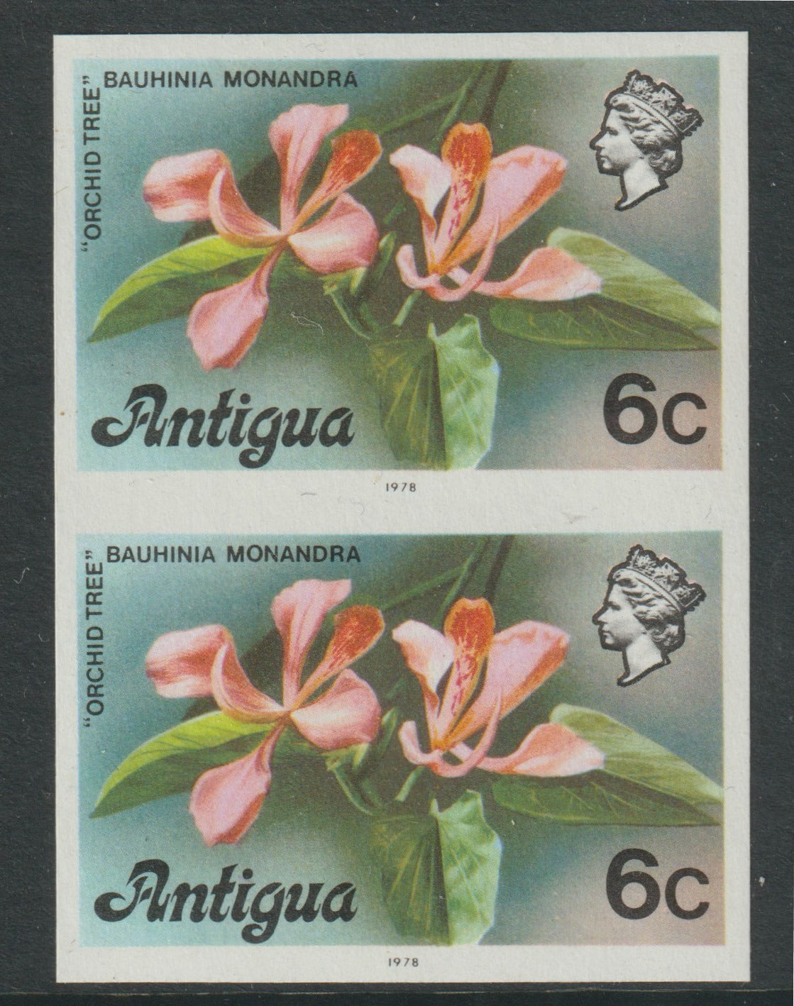 Antigua 1976 Orchid Tree 6c (with imprint) unmounted mint imperforate pair (as SG 475B)