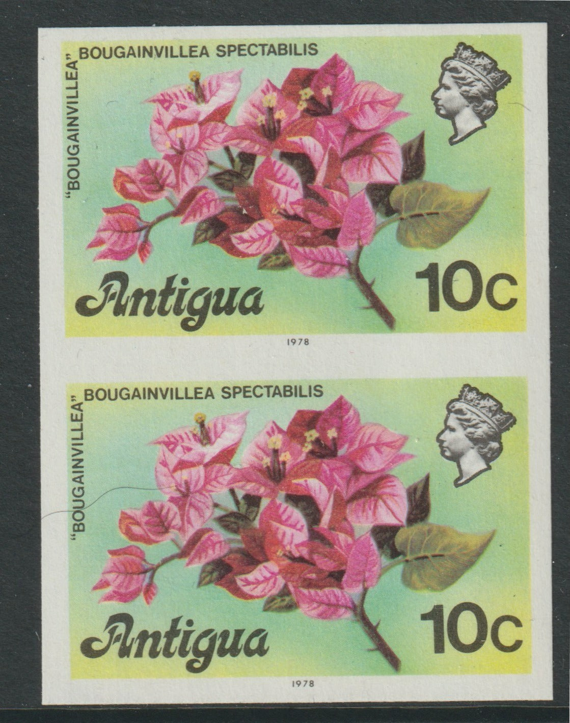 Antigua 1976 Bougainvillea 10c (with imprint) unmounted mint imperforate pair (as SG 476B)