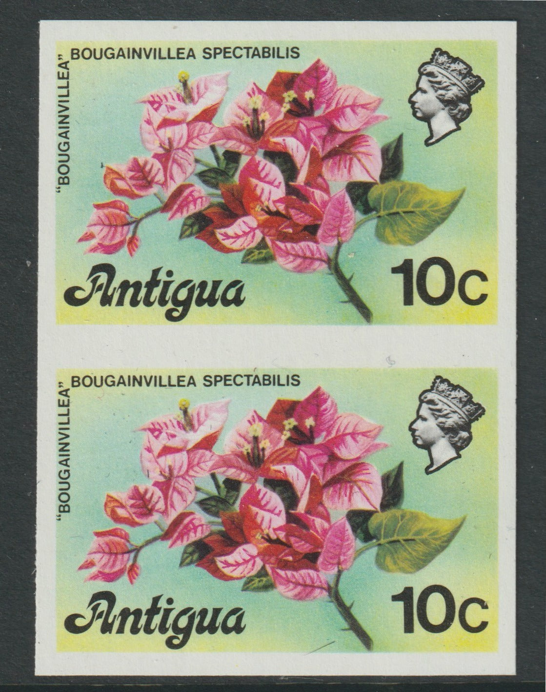 Antigua 1976 Bougainvillea 10c (without imprint) unmounted mint imperforate pair (as SG 476A)