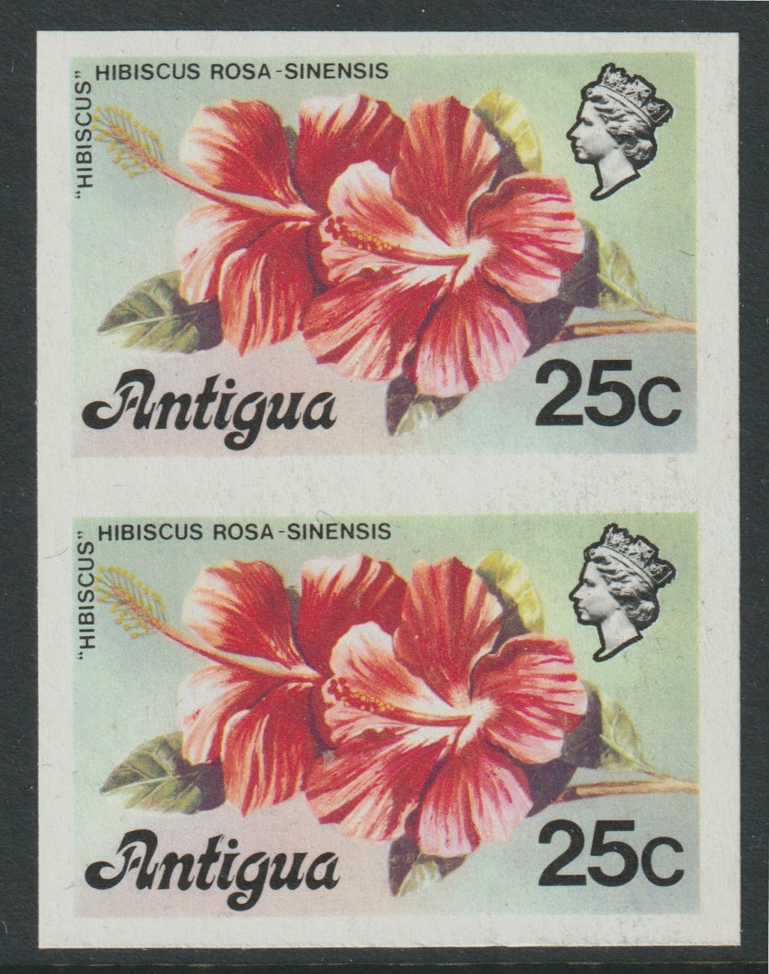 Antigua 1976 Hibiscus 25c (without imprint) unmounted mint imperforate pair (as SG 479A)