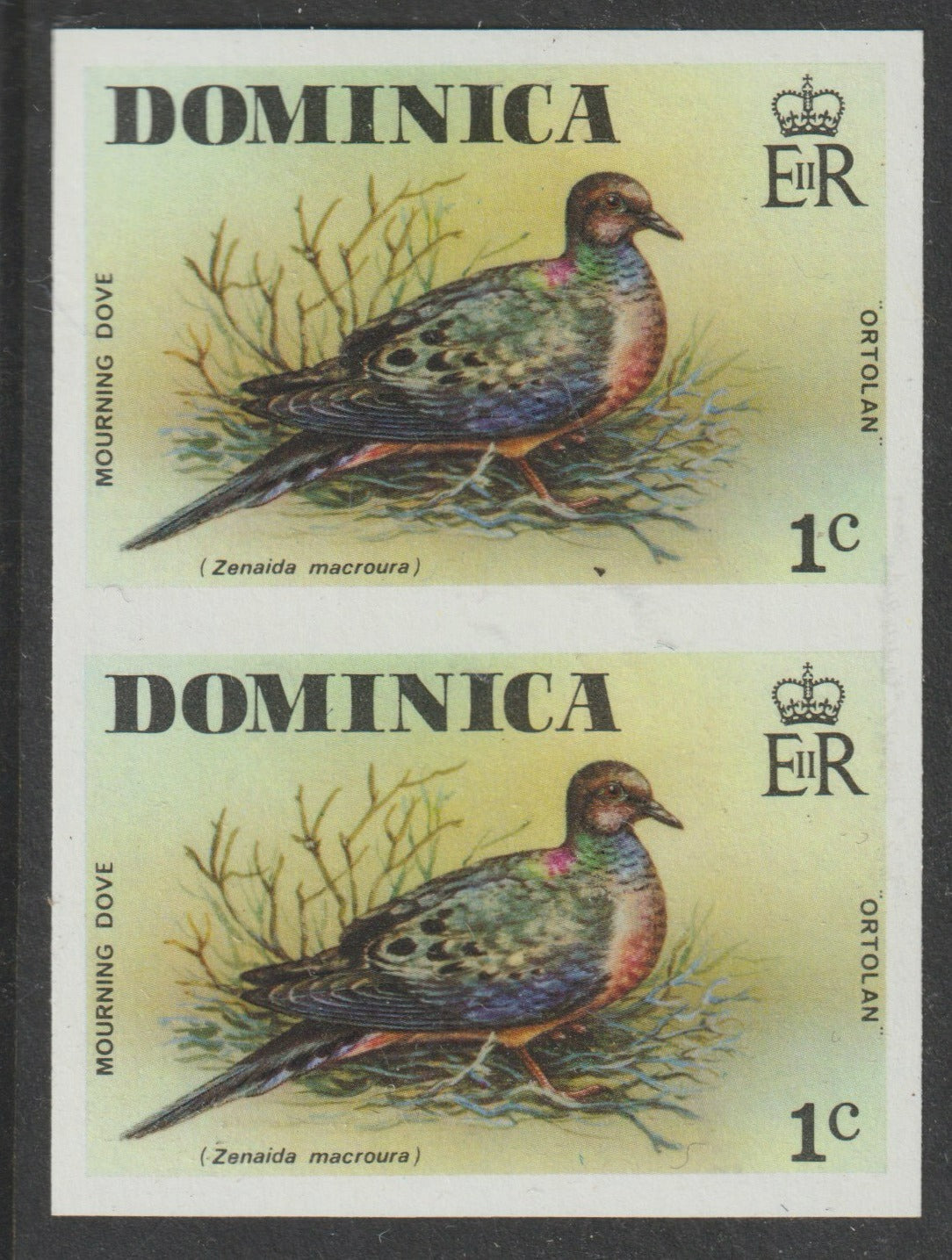 Dominica 1978 Mourning Dove 1c in imperf pair plus normal pair unmounted mint, SG 524var