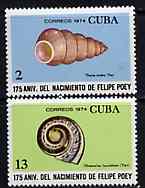 Cuba 1974 the two Shell values from Felipe Poey (Naturalist) set unmounted mint, SG 2126 & 2129