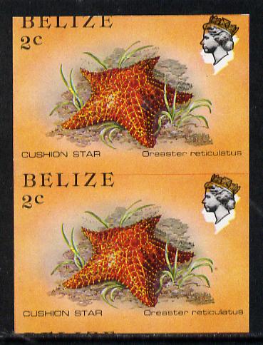 Belize 1984-88 Cushion Star 2c def in unmounted mint imperf pair showing superb 2mm shift of black (as SG 767) very fine double variety