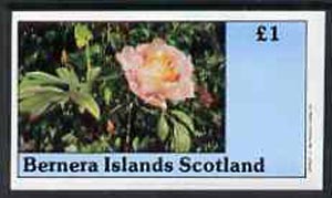 Bernera 1982 Flowers #06 imperf souvenir sheet (£1 value) unmounted mint
