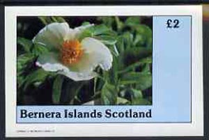 Bernera 1982 Flowers #06 imperf deluxe sheet (£2 value) unmounted mint