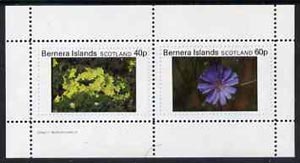 Bernera 1982 Flowers #07 perf,set of 2 values (40p & 60p),unmounted mint