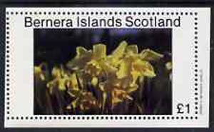 Bernera 1982 Flowers #07 imperf souvenir sheet (£1 value) unmounted mint