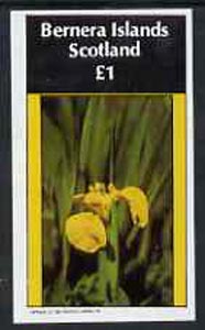 Bernera 1982 Flowers #09 (Iris) imperf souvenir sheet (£1 value) unmounted mint