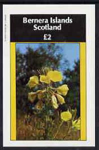 Bernera 1982 Flowers #09 imperf deluxe sheet (£2 value) unmounted mint