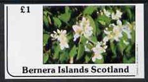 Bernera 1982 Flowers #12 imperf souvenir sheet (£1 value) unmounted mint