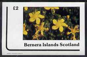 Bernera 1982 Flowers #12 imperf deluxe sheet (£2 value) unmounted mint