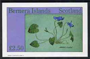 Bernera 1982 Flowers #14 (Sweet Violet) imperf deluxe sheet (£2.50 value) unmounted mint