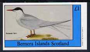 Bernera 1982 Sea Birds #02 (Roseate Tern) imperf souvenir sheet (£1 value) unmounted mint