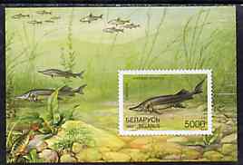 Belarus 1997 Fishes unmounted mint imperf m/sheet SG MS 250