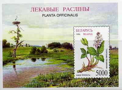 Belarus 1996 Medicinal Plants unmounted mint imperf m/sheet, SG MS 196