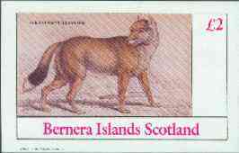 Bernera 1982 Wild Dogs (Falklands Aguara Dog) imperf deluxe sheet (£2 value) unmounted mint