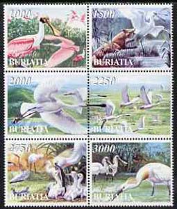 Buriatia Republic 1998 Birds perf set of 6 values complete unmounted mint