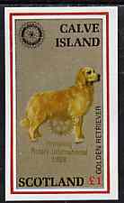 Calve Island 1998 Rotary Int opt in gold on 1984 Rotary - Dogs imperf souvenir sheet (£1 value) unmounted mint