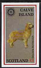 Calve Island 1998 Rotary Int opt in silver on 1984 Rotary - Dogs imperf souvenir sheet (£1 value) unmounted mint