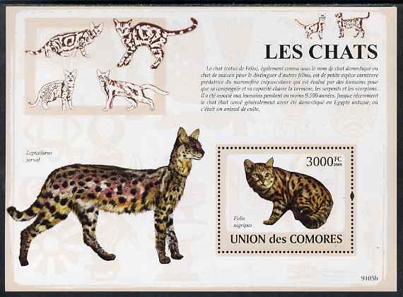 Comoro Islands 2009 Domestic Cats perf m/sheet unmounted mint