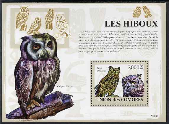 Comoro Islands 2009 Owls perf m/sheet unmounted mint