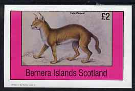 Bernera 1982 Cats (Felis caracal) imperf deluxe sheet (£2 value) unmounted mint