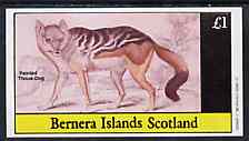 Bernera 1982 Wild Dog (Painted Thous Dog) imperf souvenir sheet (£1 value) unmounted mint