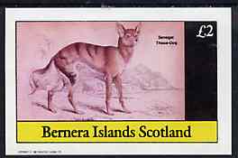 Bernera 1982 Wild Dog (Senegal Thous Dog) imperf deluxe sheet (£2 value) unmounted mint