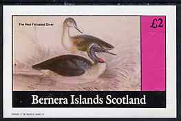 Bernera 1982 Water Birds (Great Throated Diver) imperf deluxe sheet (£2 value) unmounted mint