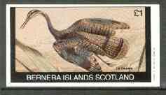 Bernera 1982 Birds #23 (La Barge Rousse) imperf deluxe sheet (£2 value) unmounted mint