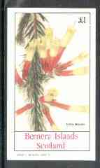 Bernera 1982 Flowers #15 (Erica Bicolor) imperf souvenir sheet (£1 value) unmounted mint